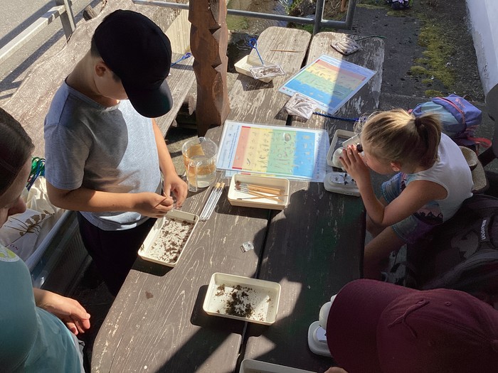 Ferienkinder entdecken die Vielfalt im Dorfbach (Foto: J. Wagner).